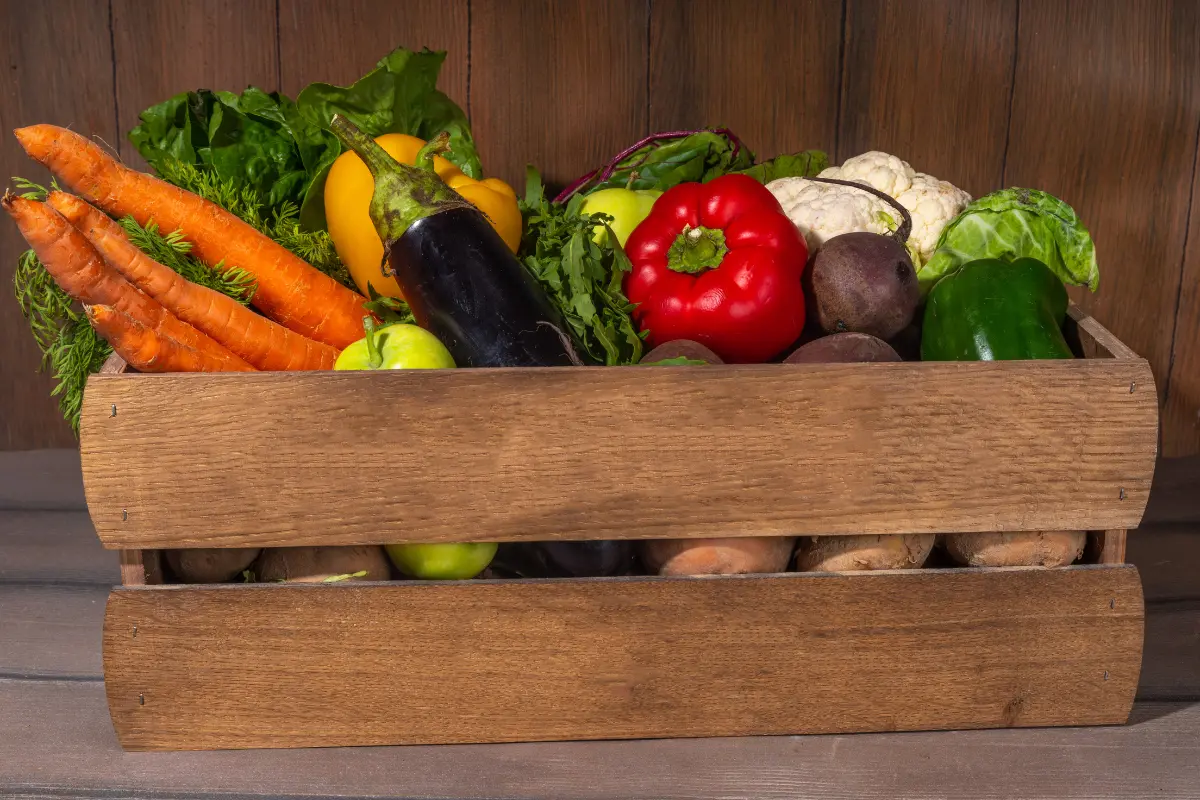 How to Register as a Food Business in the UK