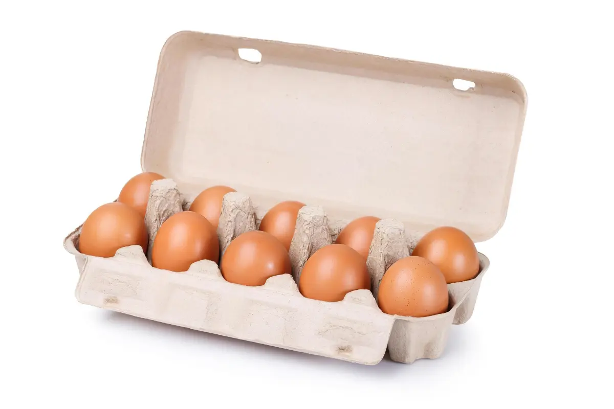 How to Tell if Eggs Are Fresh: The Float Test and Other Methods