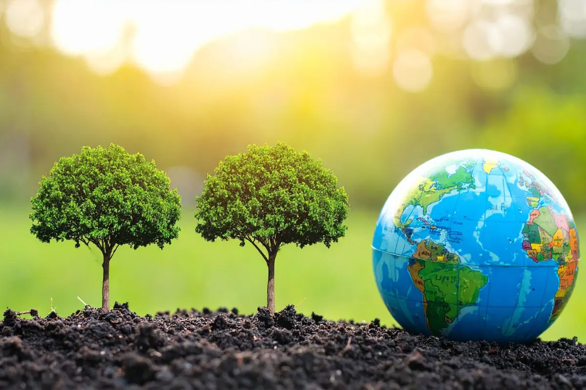 How to Write an Environmental Policy for a Farm Shop or Farm Attraction