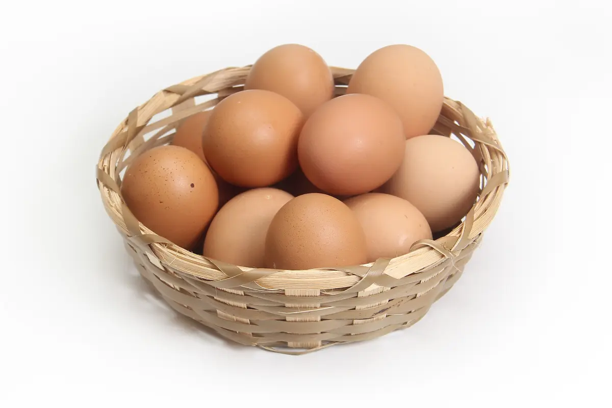 How to Sell Eggs from Home in the UK: The Complete Guide