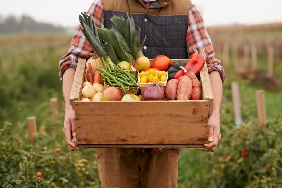 Listing Your Stall on The Farm Stall: A Quick-Start Guide