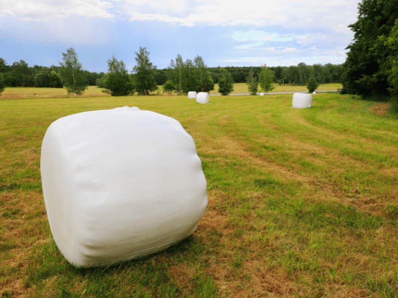 Round silage bale wrapped in black plastic — fermented grass for cattle